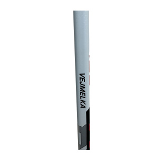 Custom Torwart-Schläger Warrior Ritual V4 RTL Senior 26" full right