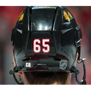 Helmet Decal NHL SportStar Florida Panthers