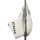 Fanghand CCM TACKS Senior